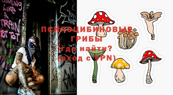 прущая мука Верея