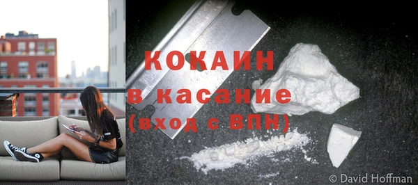 прущая мука Верея