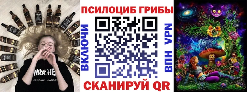 Купить  Щучье  Галлюциногенные грибы Magic Shrooms 
